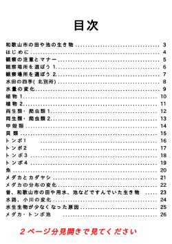 和歌山市の田や池の生き物