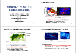 太陽電波II型バーストのスペクトル 微細構造の統計的出現特性
