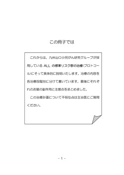 標準リスク群の治療について（PDF／312kb）
