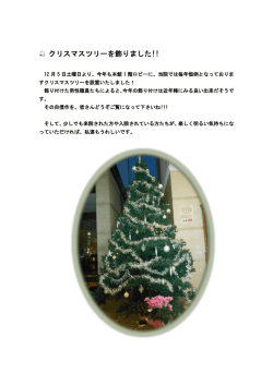 白 クリスマスツリーを飾りました!!