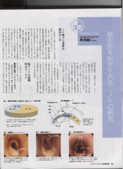 競走馬を悩ます病気