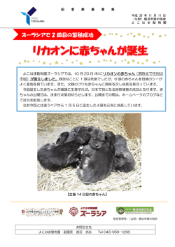 PDFファイルダウンロード - 公益財団法人 横浜市緑の協会