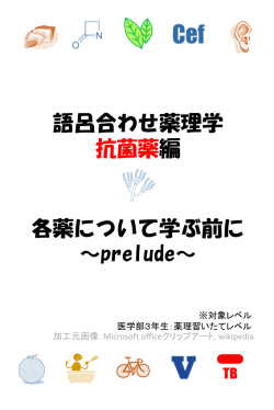語呂合わせ薬理学～抗菌薬編～各薬について学ぶ前に基本的事項をお