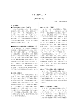 月刊・南アニュース （2010 年 6 月）