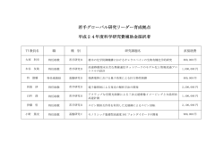若手グローバル研究リーダー育成拠点 平成24年度科学研究費補助金