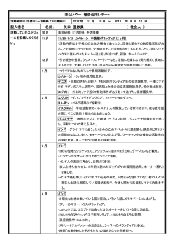 ぼらいやー 報告会用レポート 記入者名 名前： 矢口 亜紗美 （ 社会
