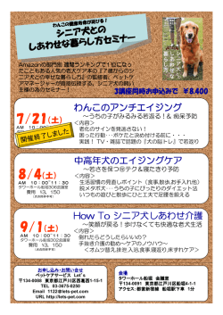 わんこのアンチエイジング 中高年犬のエイジングケア How To シニア犬