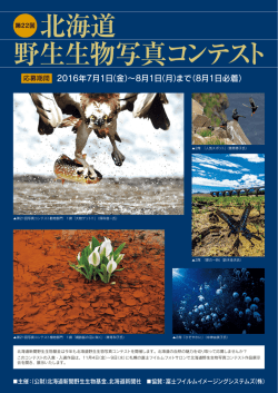 野生生物写真コンテスト