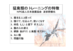 猛禽類のトレーニングの特徴