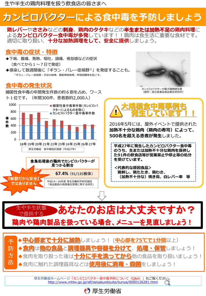 加熱 カンピロバクター