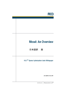 日本語（PDF書類）