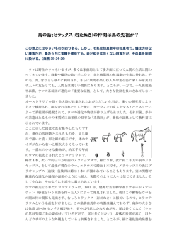 馬の話：ヒラックス(岩たぬき)の仲間は馬の先祖か？
