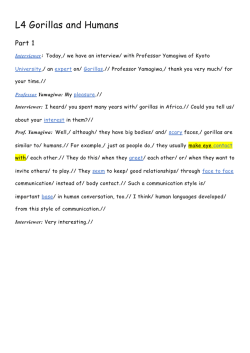 L4 Gorillas and Humans