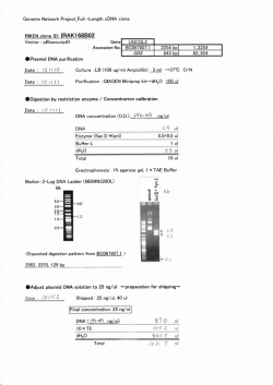 870 ul - RIKEN BRC DNA BANK
