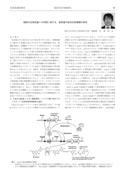 植物の生育促進への利用に資する、枯草菌の転写