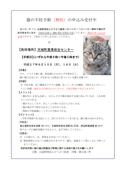 猫の不妊手術（無料）の申込み受付中