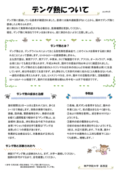 PowerPoint プレゼンテーション