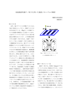 室温焼結性銀ナノ粒子を用いた焼結メカニズムの解析