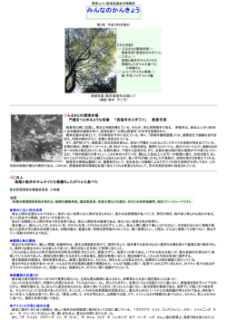 第3号 ふくいリサイクル事情part1