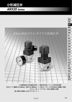 ARX20 Series - Electrocomponents