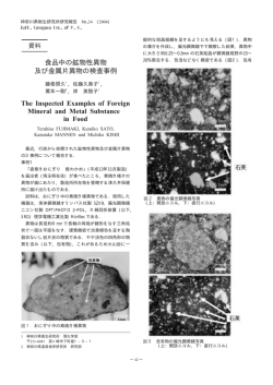 食品中の鉱物性異物 及び金属片異物の検査事例 The Inspected