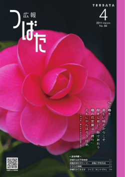 津幡町当初予算概要 津幡地域交流センター・津幡小学校完成 くらしの