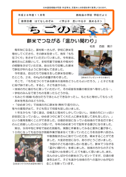 11月