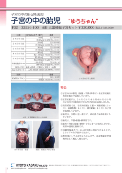 子宮の中の胎児 “ゆうちゃん”