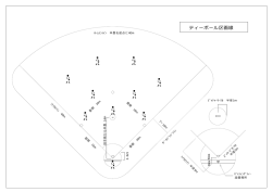 ティーボール区画線