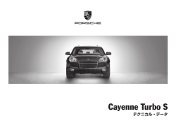 Cayenne Turbo S