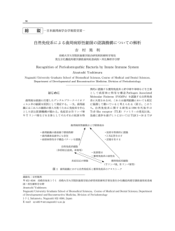総 自然免疫系による歯周病原性細菌の認識機構についての解析 - J