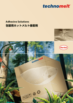 Adhesive Solutions 包装用ホットメルト接着剤