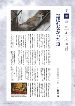 「選ばれなかった道」 （Vol.116 学園長だより 第16回）［PDF］