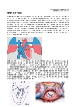 僧帽弁閉鎖不全症の説明