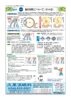 緑内障について（その2）