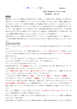 10号 - アークフラッシュ