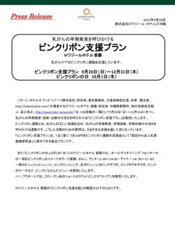 PowerPoint プレゼンテーション