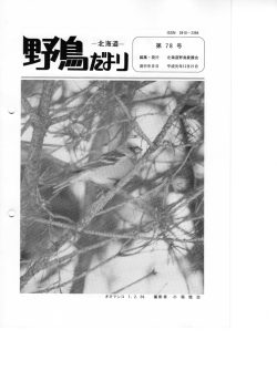 第78号（平成元年12月）