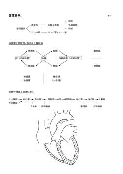 2015年版 循環器（その1）