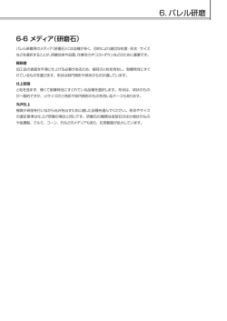 6. メディア（研磨石）
