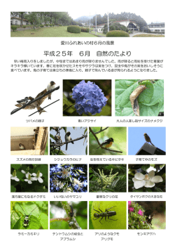 6月号 - 愛川ふれあいの村