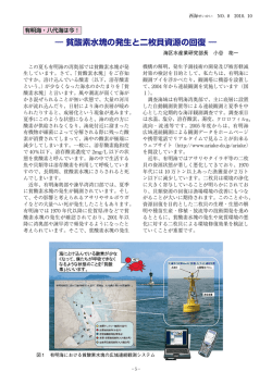 有明海・八代海は今！ －貧酸素水塊の発生と二枚貝資源の回復