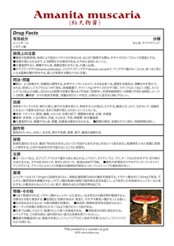 PDFをダウンロードする