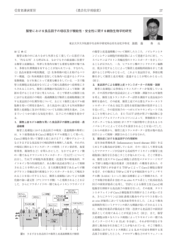 腸管における食品因子の吸収及び機能性・安全性に関する細胞生物学的
