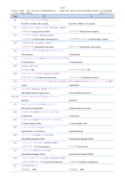 Page 誤 正 94 リュウキュウエビスの写真キャプション KAUM–I. 41248