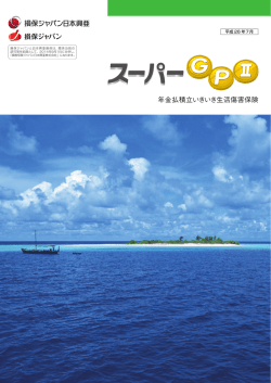 （一時払型）保険商品パンフレット