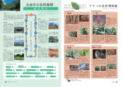 詳細を見る PDF（149KB）