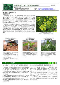 5月号