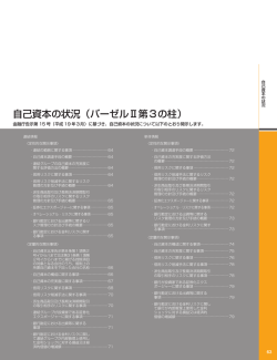 自己資本の状況（バーゼルII第3の柱）編（2007 南都銀行レポート）