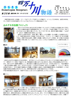 清流通信第210章PDF